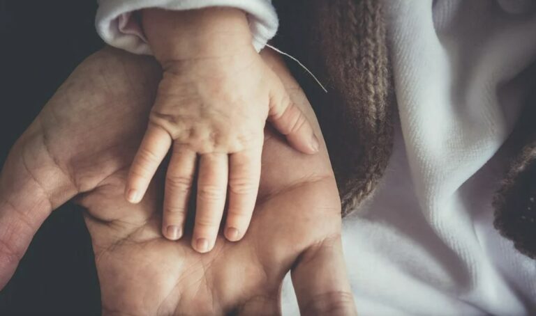 father and child's hands