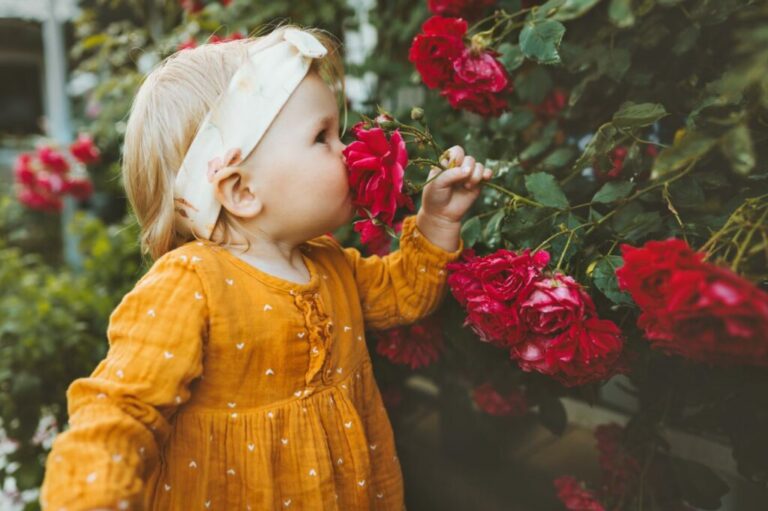 A little girl in a yellow dress holding and smelling roses from a rose bush in a garden.